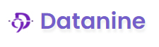 Datanine Blog Logo
