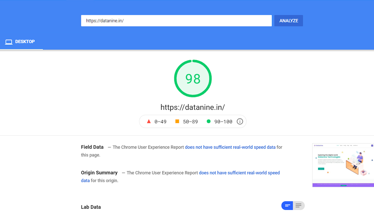 Datanine Desktop Google Pagespeed Insights